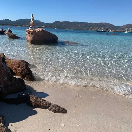 La Tana Del Drago Casa vacanze