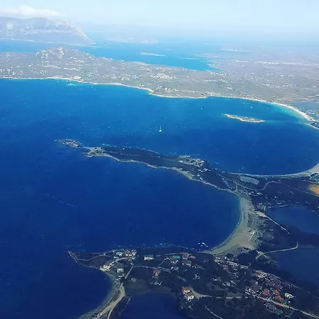 La Tana Del Drago *