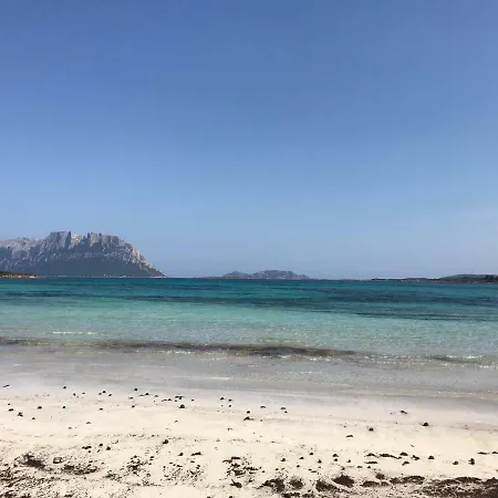 La Tana Del Drago Casa vacanze *
