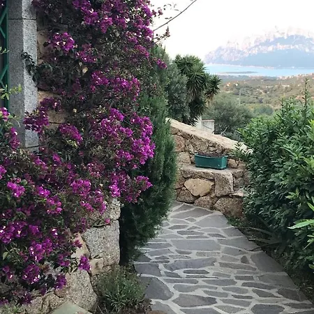 La Tana Del Drago Murta Maria